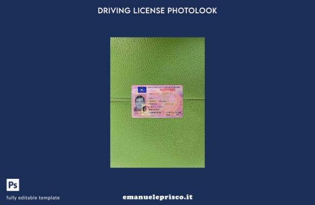 modello FRONTALE photolook della patente di guida olandese in stile verificato